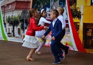 DSC_0051 (1)